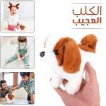 الكلب العجيب